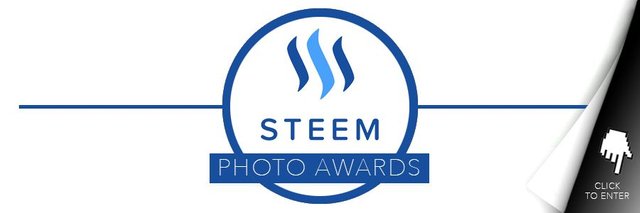 Steem Photo Awards.jpg