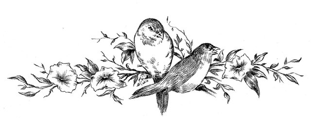 vintage-sketches-birds-on-floral-branch-the-graphics-fairy.jpeg