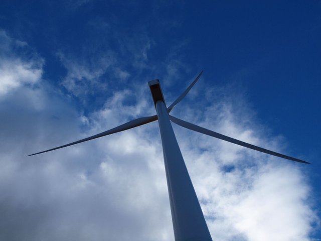 wind_turbines_006.JPG