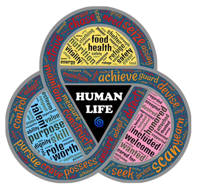nutshell-2122598_1280.png