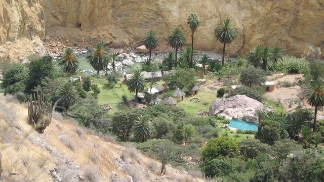 05252016121439-vista del oasis del colca.jpg