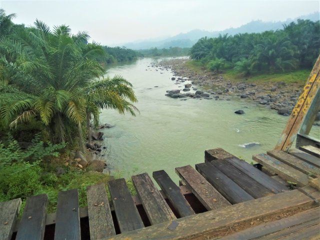 IMG_20180128_125617.jpg