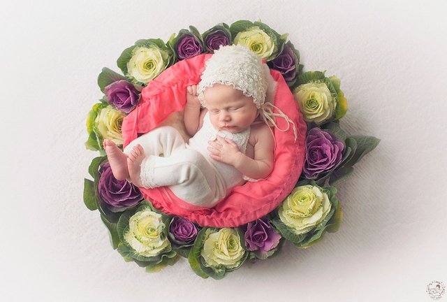 newborn-photos-nature-mandalas-7.jpg