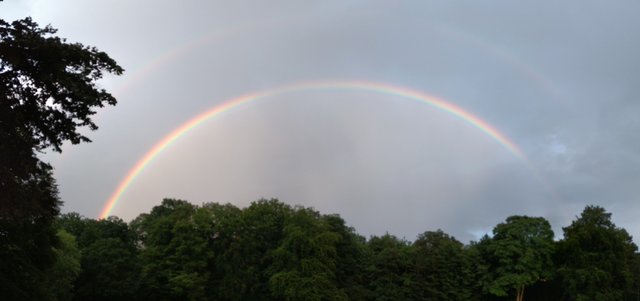 20170724_203108.jpg