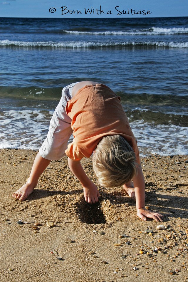 20080302_0248_Bobby at Ulverstone Beach.JPG