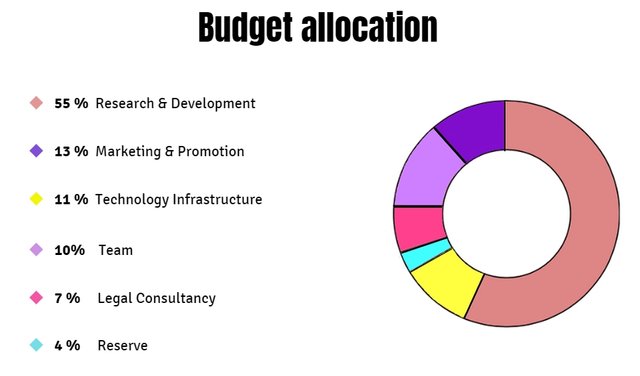 budgetallocation.jpg