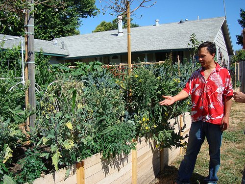 john-kohler-urban-gardening.jpg