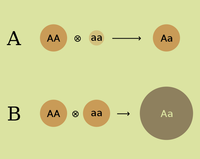 744px-Heterosis.svg.png