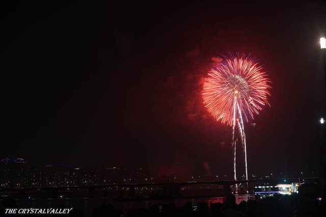 fireworks_1_by_thecrystalvalley-dbp0sze.jpg