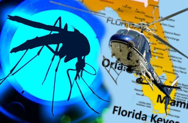 fl-gm-mosquitoes.jpg