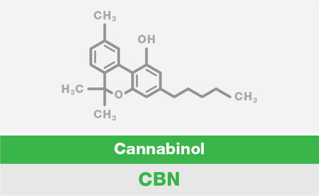 top-10-cannabinoids-and-what-they-do-cbn.png