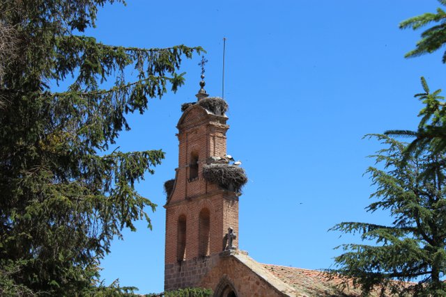 IMG_6959.JPG