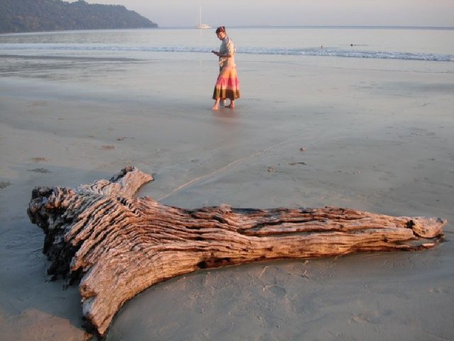 Driftwood.jpg