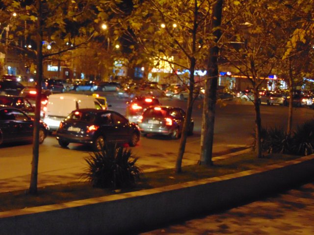 DSC00131.JPG