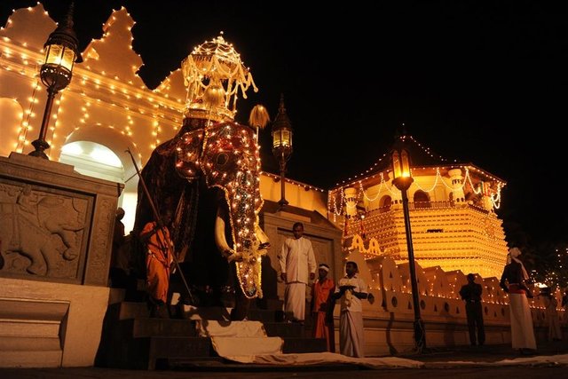 Perahera (1).jpg