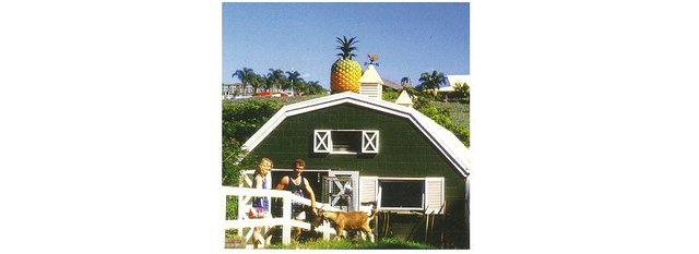 big pineapple barn.jpg