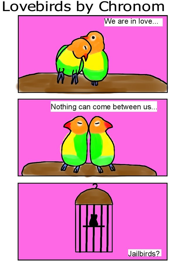 Lovebirds Contest.jpg