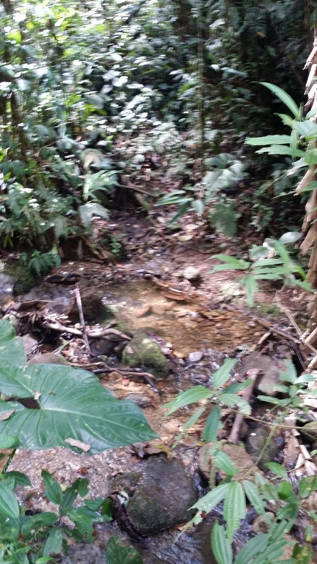 22 - Second river crossing hiking through the nature reserve.jpg