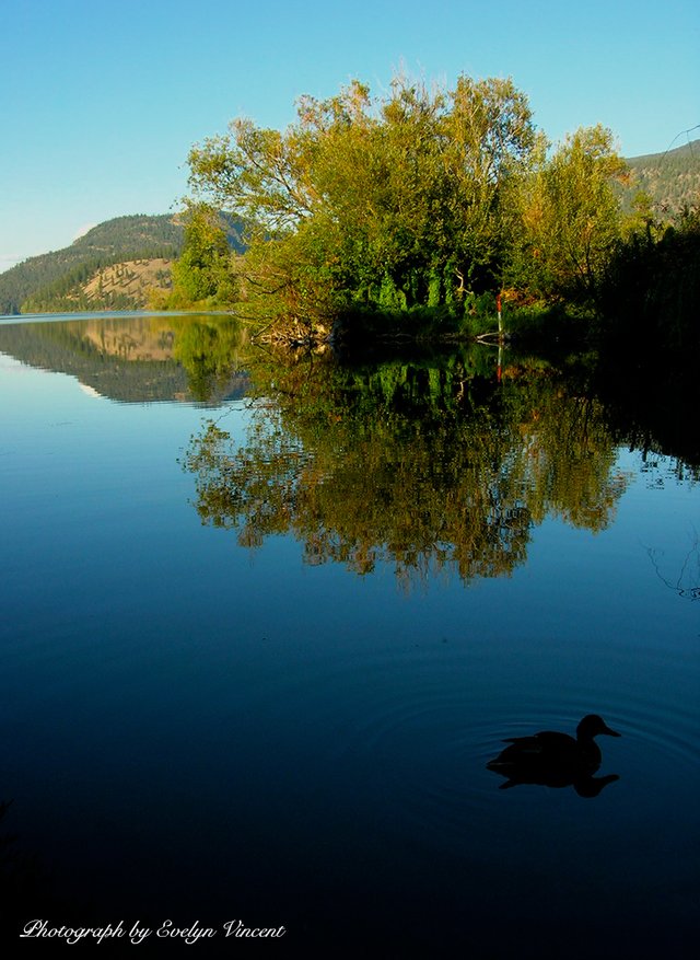 Tween-Lake-Oyama-BC-2005-800.jpg