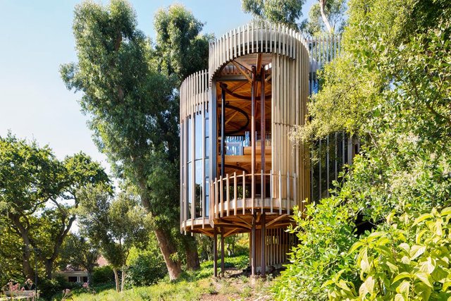maison-originale-cabane-arbres-en-bois.jpg