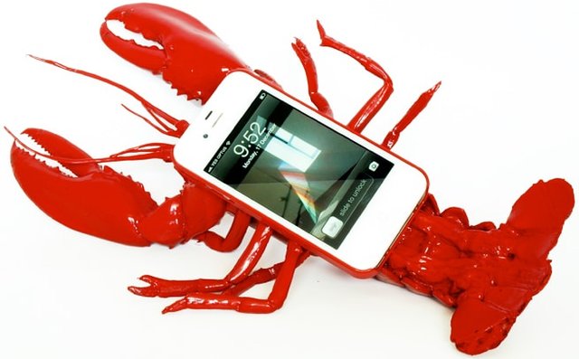 lobster-case-1.jpg