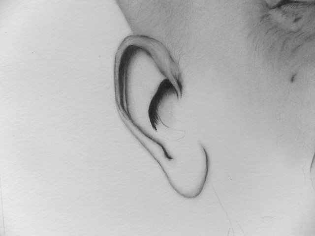 ear.JPG