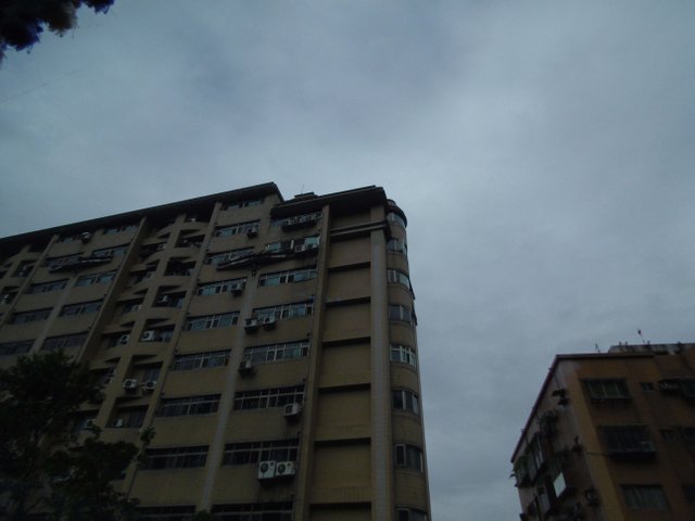 P1000646.JPG