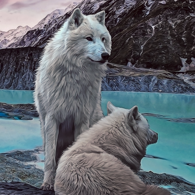 white-wolves-close-up.png