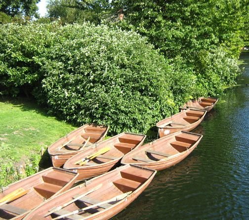 Rowng Boats at Flatford 150809.jpg