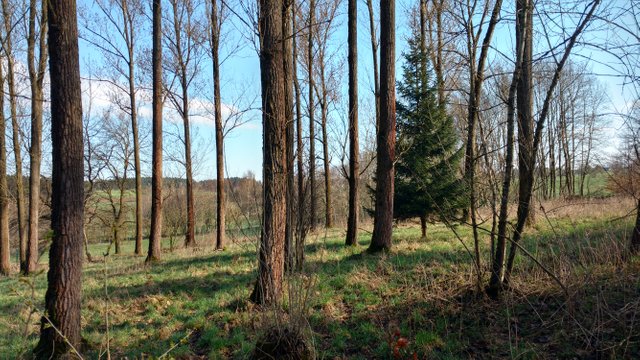IMG_20180414_093003799_HDR.jpg