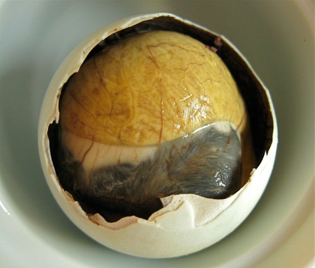 Balut Emerging.JPG