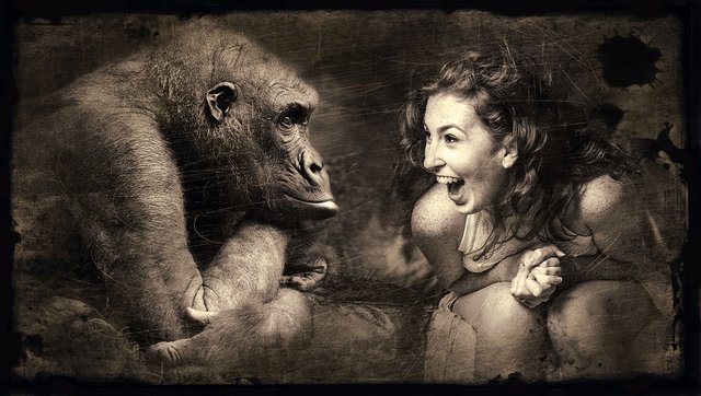 Sepia-Laugh-Woman-Composing-Old-Photo-Monkey-2925179.jpg