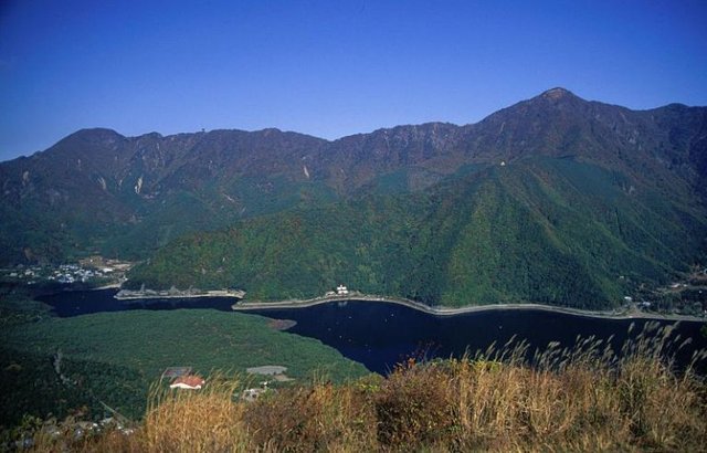 bosque-aokigahara-lago-saiko.jpg