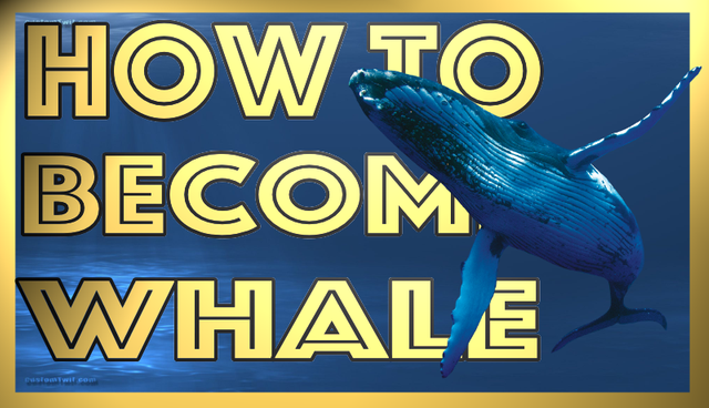 How to become a whale.png