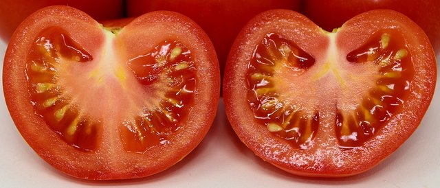 tomatoes-3299282_960_720.jpg