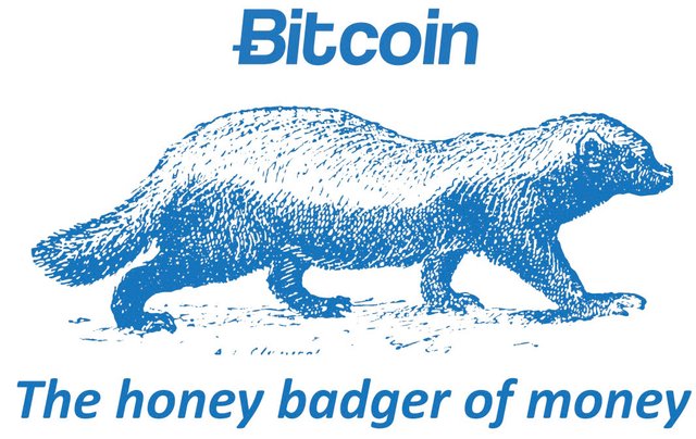 Bitcoin-honey-badger.jpg