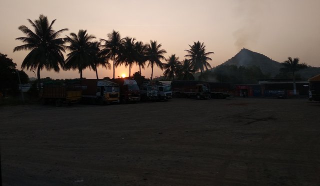 Sunset Trees - Photo Credit: Chetan Naik