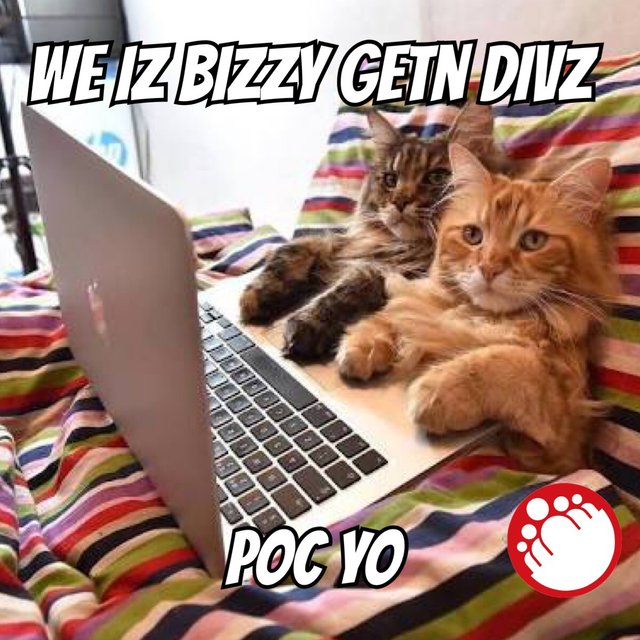 2D54EA00-67B0-4FDB-AEF5-8C59E746866F.jpeg