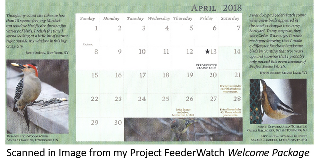 project feederwatch april 2018.png