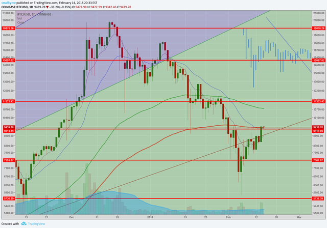 feb 14 bitcoin bull.png