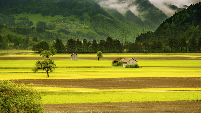 landscape-meadow-field-mountains-66874.jpeg