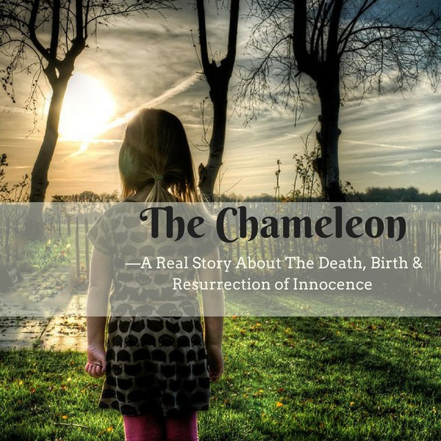 The Chameleon Blog Cover March 2017 Photo 1.jpg