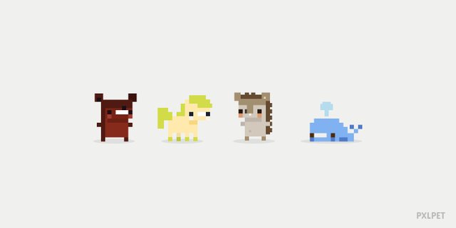 pets1.jpg
