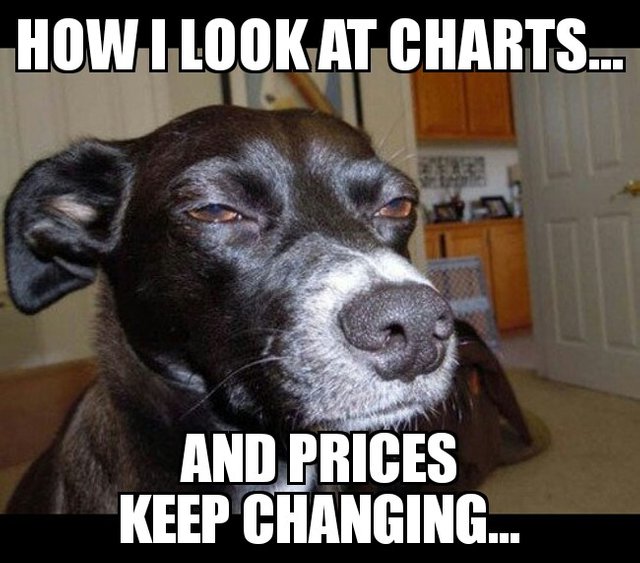 dog charts.jpg