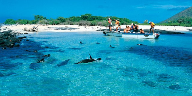 Best-Time-to-Visit-Galapagos-Islands.jpg