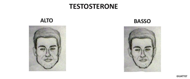 malefacetest.jpg