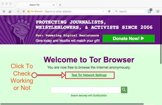 tor browser настройка через прокси hydra2web