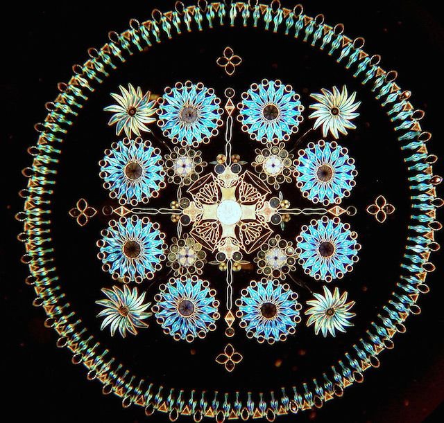 diatom-2.jpg