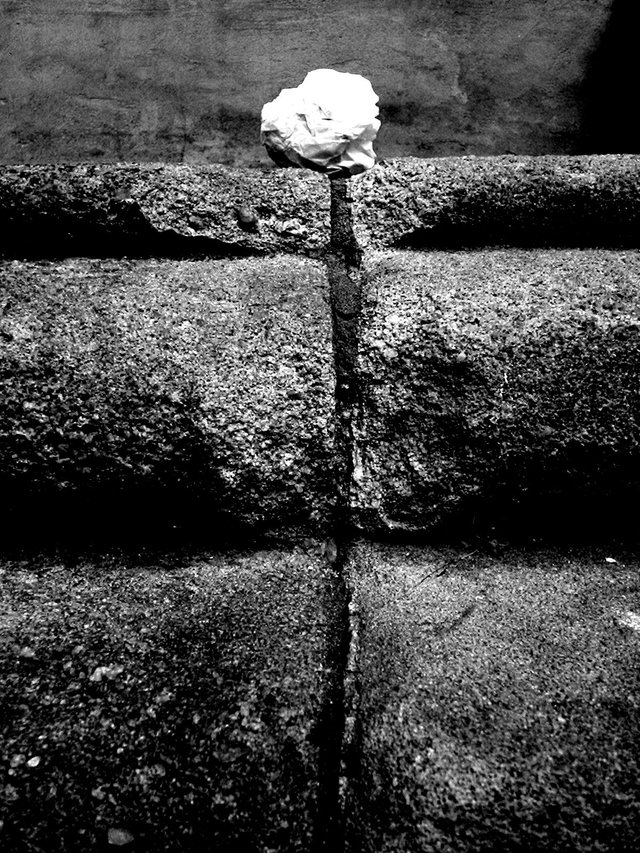 screwed up paper on wall - 010304-616 B&W mod copy.jpg