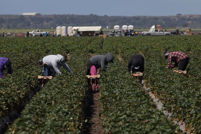 farm workers.jpg